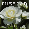 Russian Brides One True Love Top